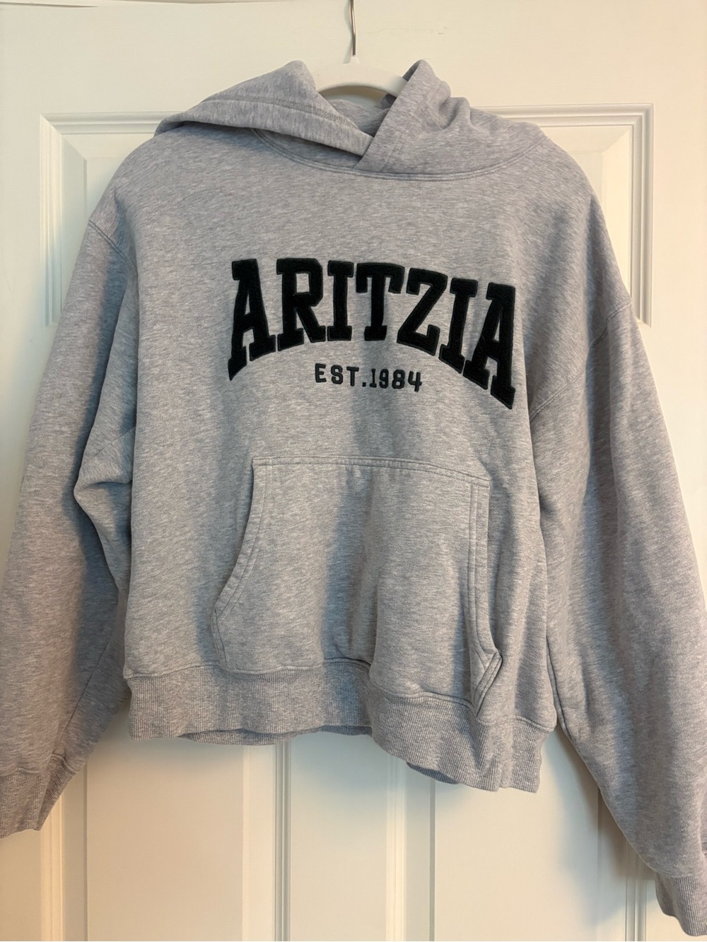 Aritzia Light Gray Perfect Fit Pullover Hoodie